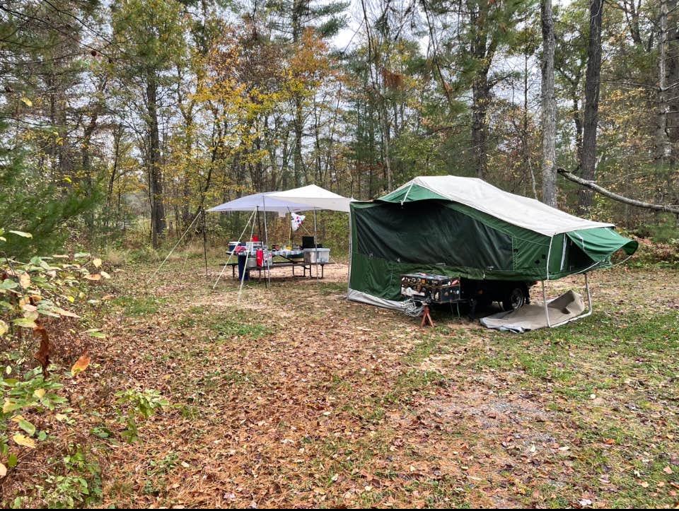 Camper submitted image from East Fork Campground - Black River State Forest - 1