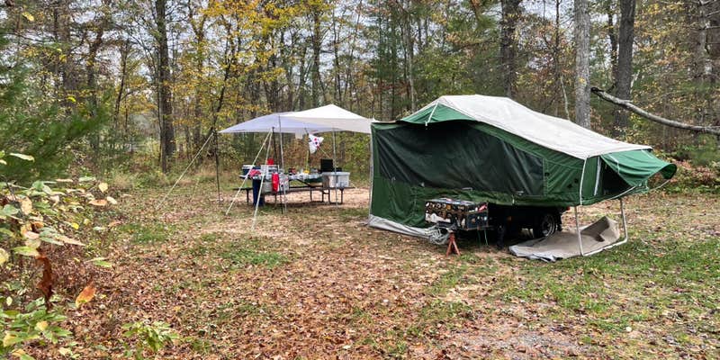Camper submitted image from East Fork Campground - Black River State Forest