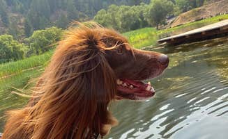 Matthew T.'s photo of camping with pets at Camp Coeur D Alene near Coeur d'Alene, ID