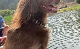 Matthew T.'s photo of camping with pets at CampCDA near Kellogg, ID