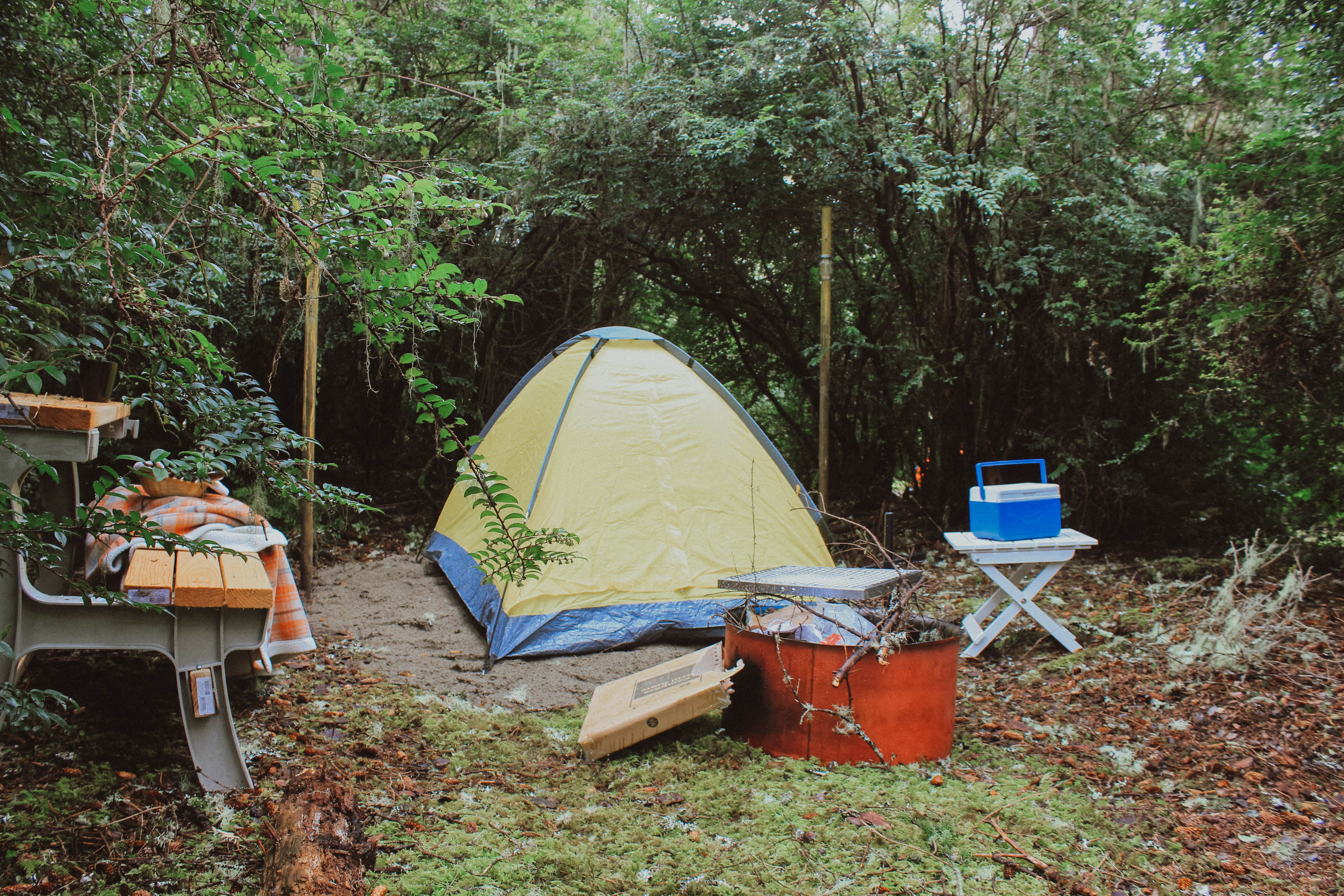Kellee B.'s photo of tent camping at Wandering Elk near Westport, WA