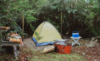 Kellee B.'s photo of tent camping at Wandering Elk near Chinook, WA