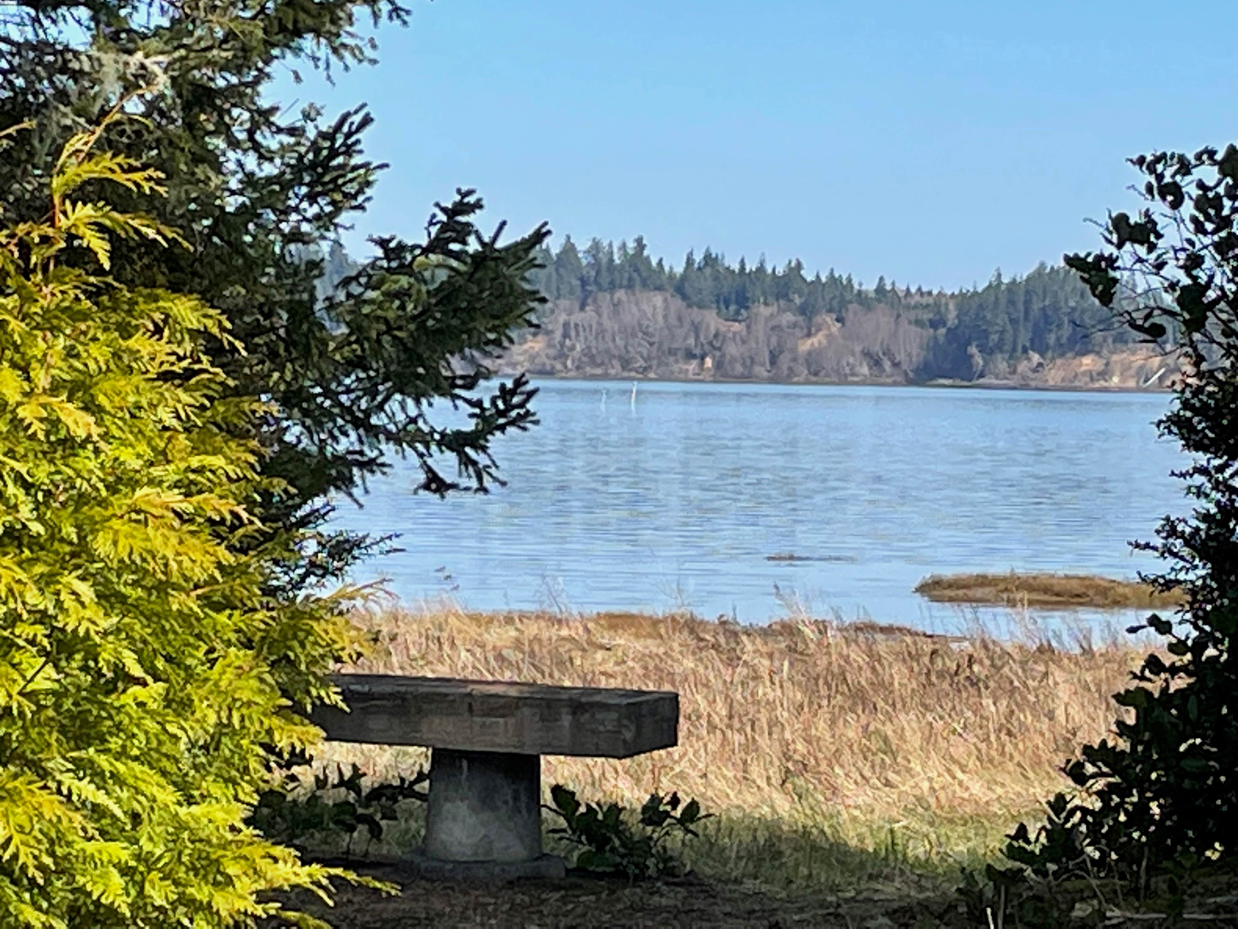 Camper-submitted photo at Wandering Elk near Westport, WA