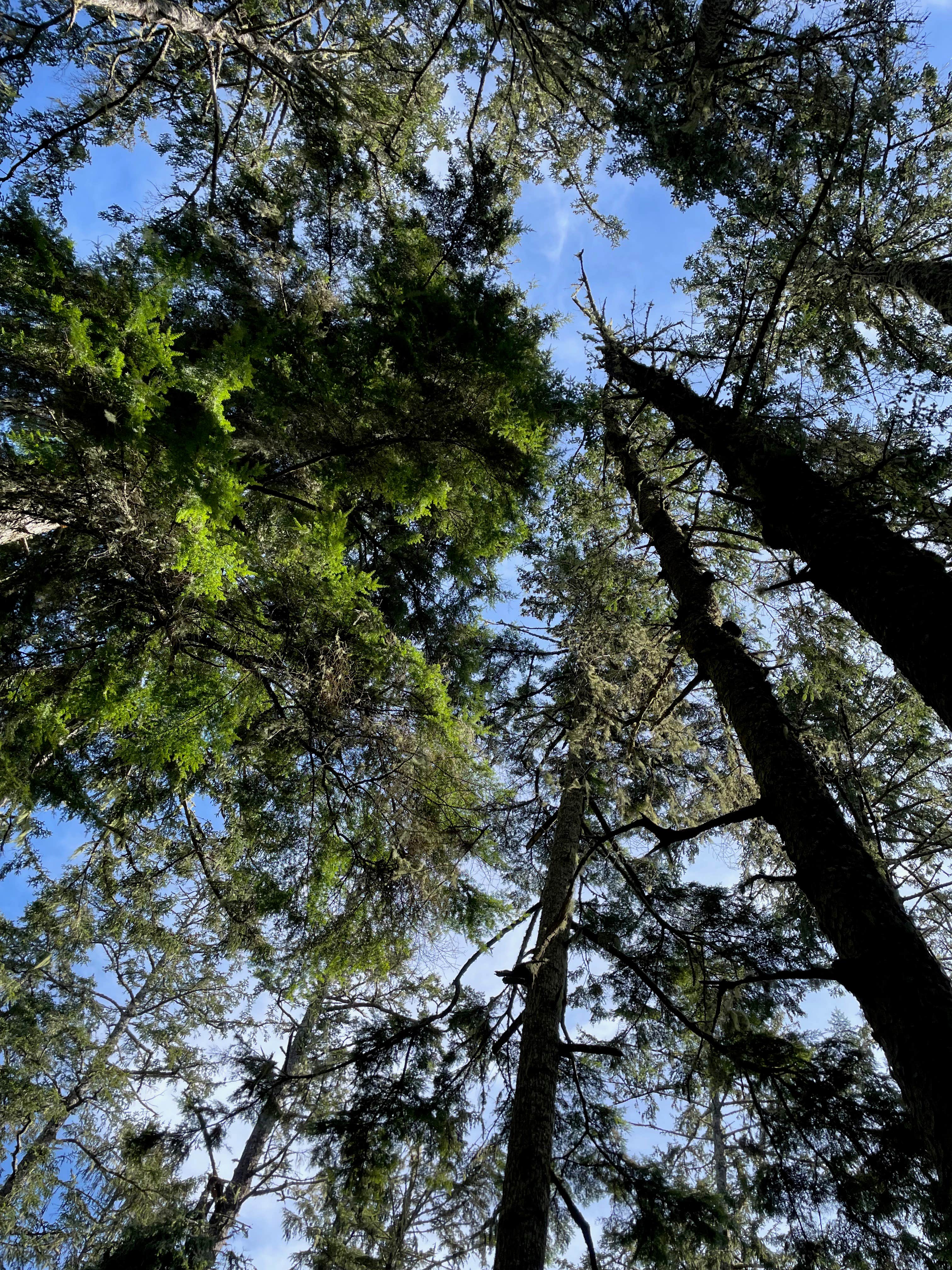 Camper-submitted photo at Wandering Elk near Westport, WA