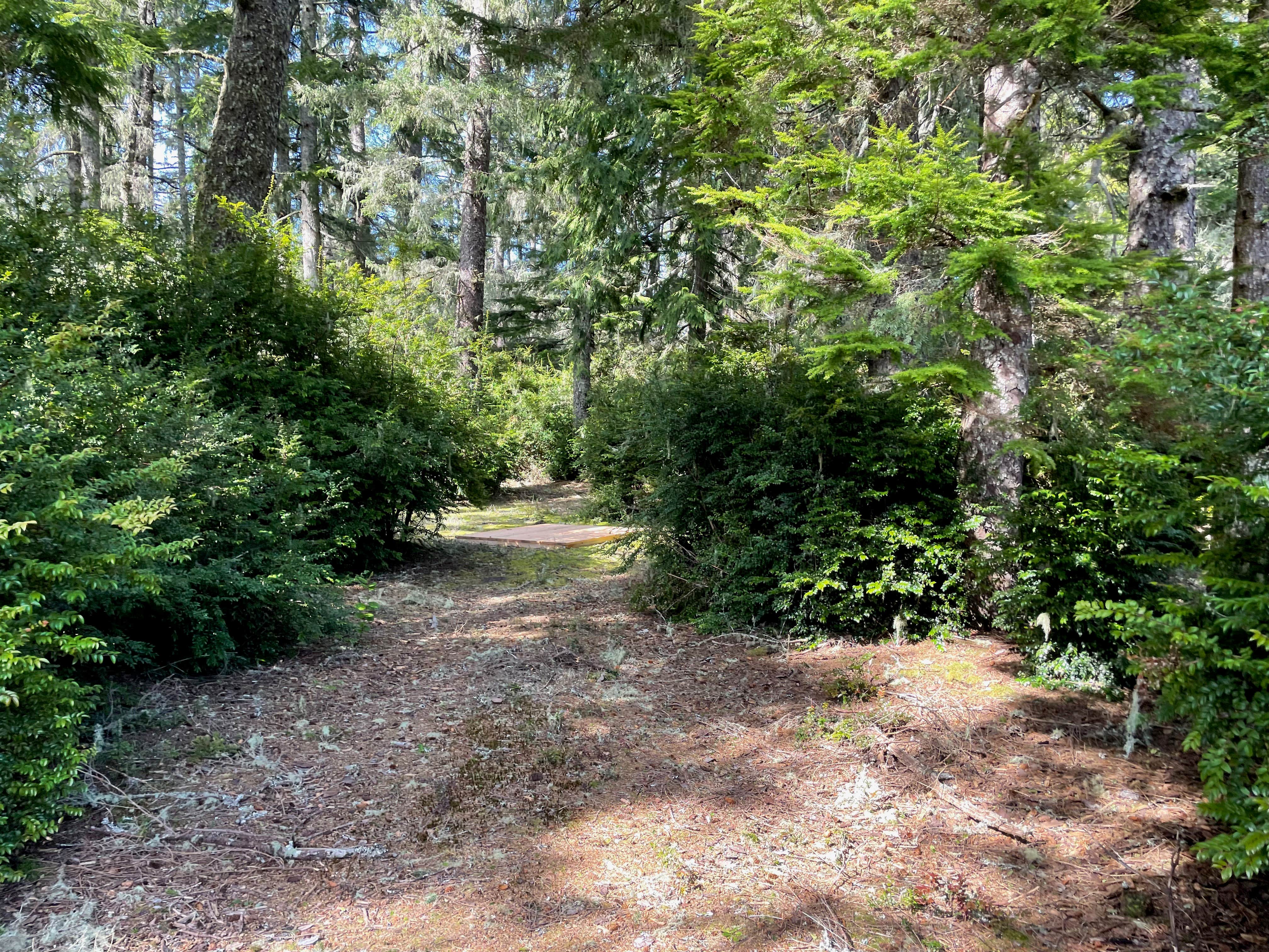Camper-submitted photo at Wandering Elk near Westport, WA