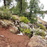 Review photo of Fool Hollow Lake Recreation Area Campground by Krista Z., October 12, 2018