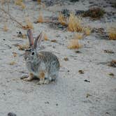 Review photo of Hidden Valley Campground — Joshua Tree National Park by Ben R., May 23, 2023