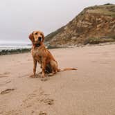 Review photo of Thornhill Broome Beach — Point Mugu State Park by Connor W., May 23, 2023