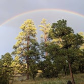 Review photo of Fool Hollow Lake Recreation Area Campground by Krista Z., October 12, 2018