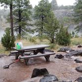 Review photo of Fool Hollow Lake Recreation Area Campground by Krista Z., October 12, 2018