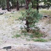 Review photo of Fool Hollow Lake Recreation Area Campground by Krista Z., October 12, 2018