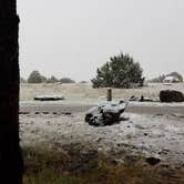 Review photo of Fool Hollow Lake Recreation Area Campground by Krista Z., October 12, 2018