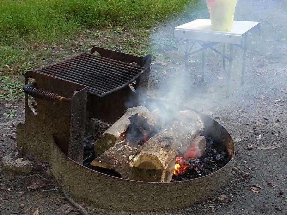 Camper submitted image from Cheesequake State Park Campground - 4