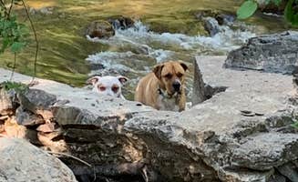 Allison's photo of camping with pets at River Ranch Campground near Jamestown, CA