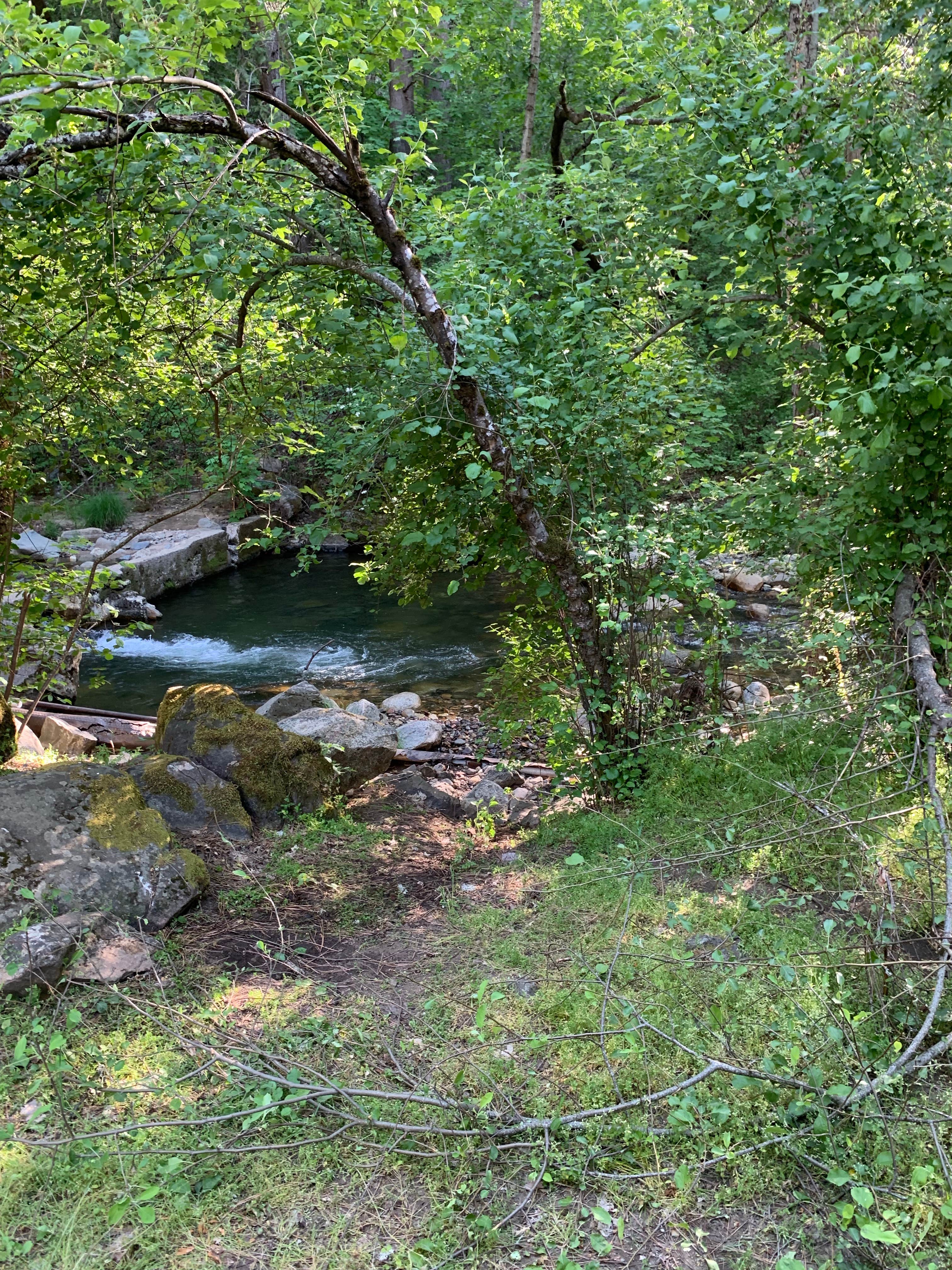 Camper-submitted photo at River Ranch Campground near Cedar Ridge, CA