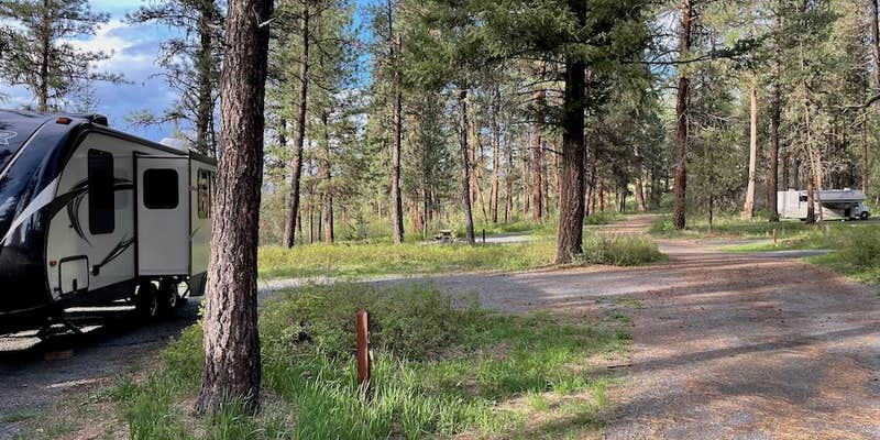 Camper submitted image from Lower Camp Creek Forest Camp