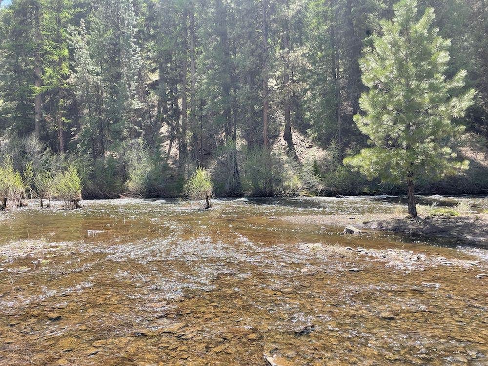Camper-submitted photo at Deep Creek near Central Oregon