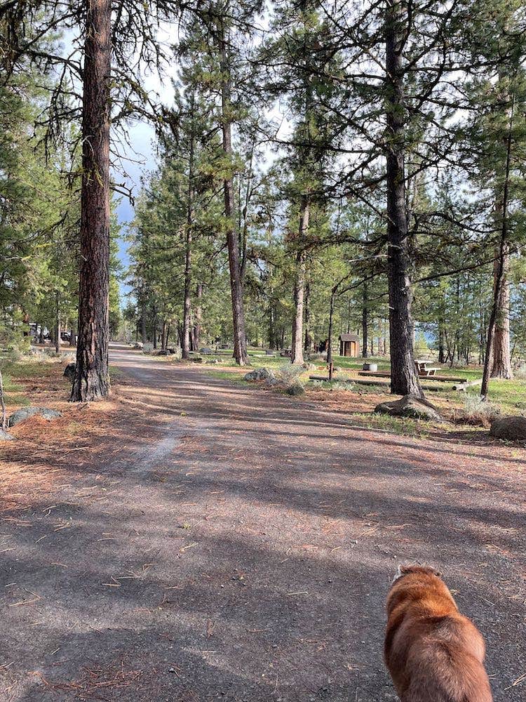 Camper-submitted photo at Big Creek near Malheur National Forest
