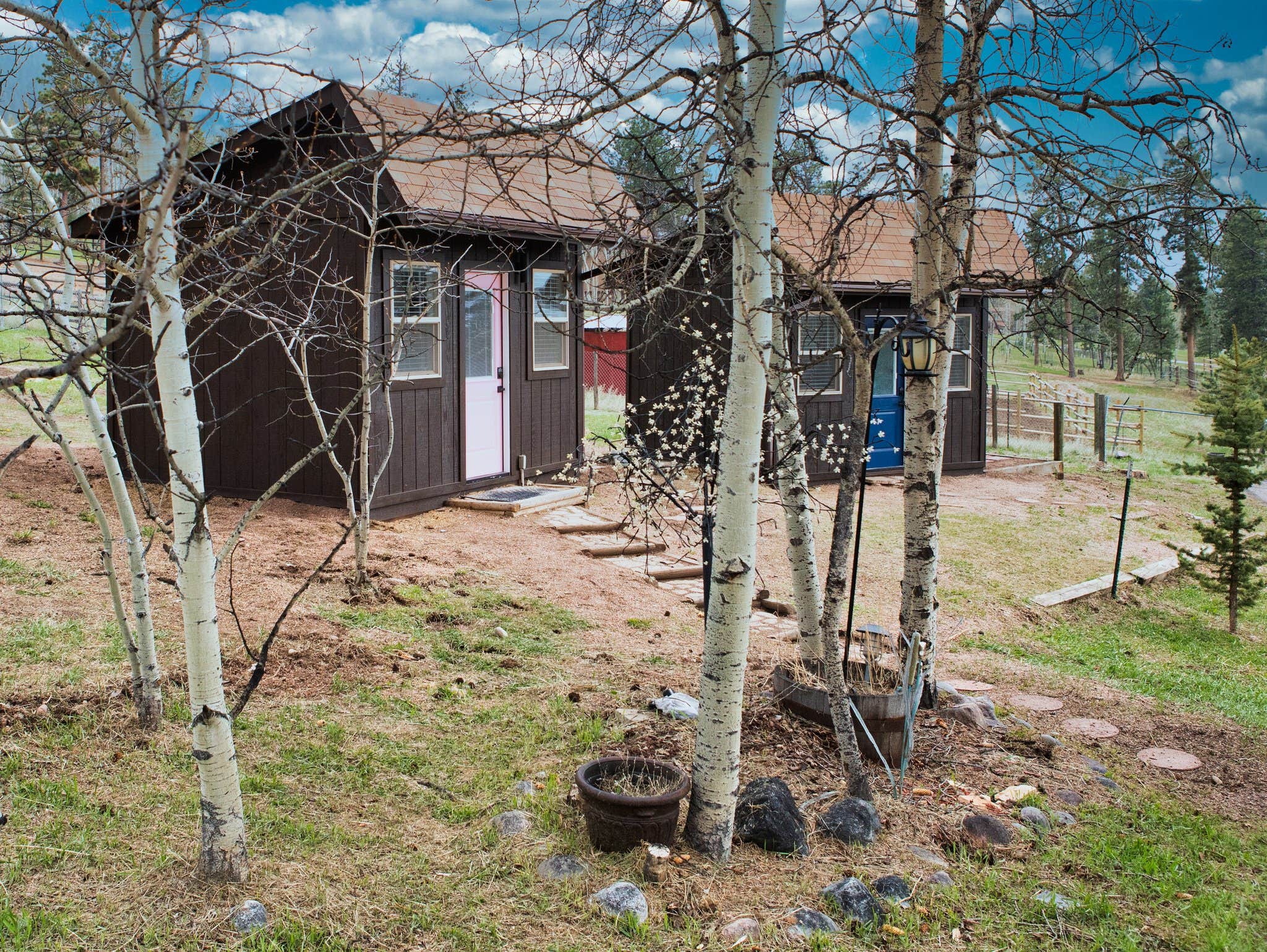 Camper-submitted photo at Rampart Reserve near Lake George, CO