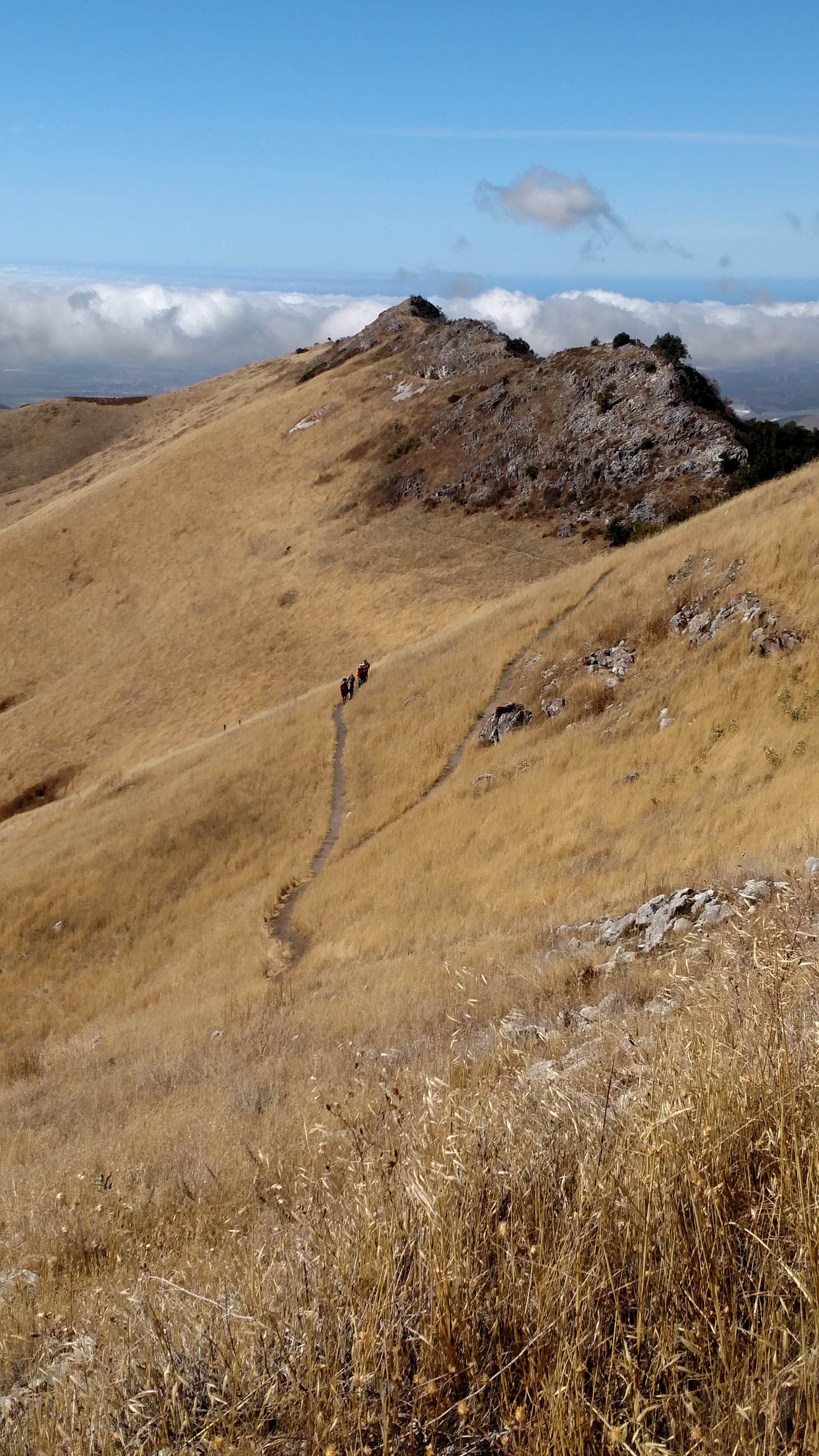 Fremont Peak The Dyrt