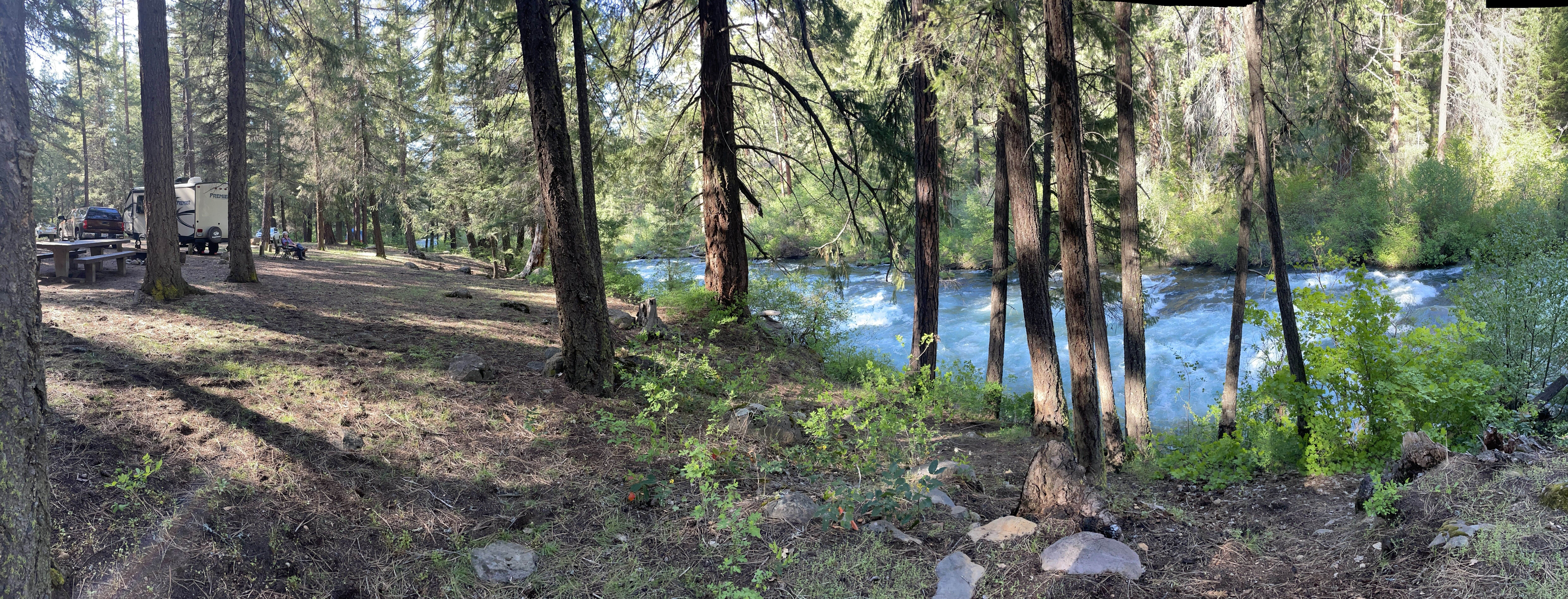 Hollis F.'s photo at Candle Creek Campground near Alder Springs, OR