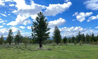Camping near Timbers Inn and RV Park: Big Creek, Malheur National Forest, Oregon
