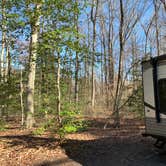 Review photo of Tuckahoe State Park Campground by Laure D., May 24, 2023