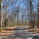 Review photo of Tuckahoe State Park Campground by Laure D., May 24, 2023