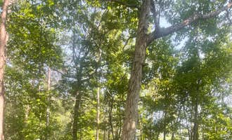 Camping near COE Hartwell Lake Paynes Creek Campground: Whispering Pines, Fair Play, South Carolina