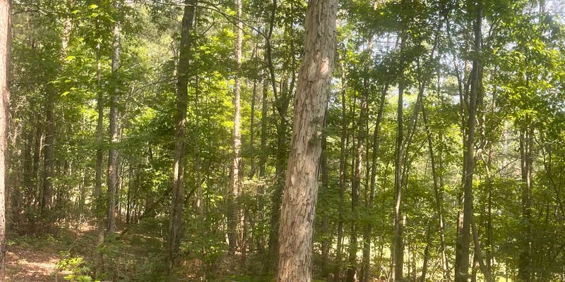 Camper submitted image from Whispering Pines