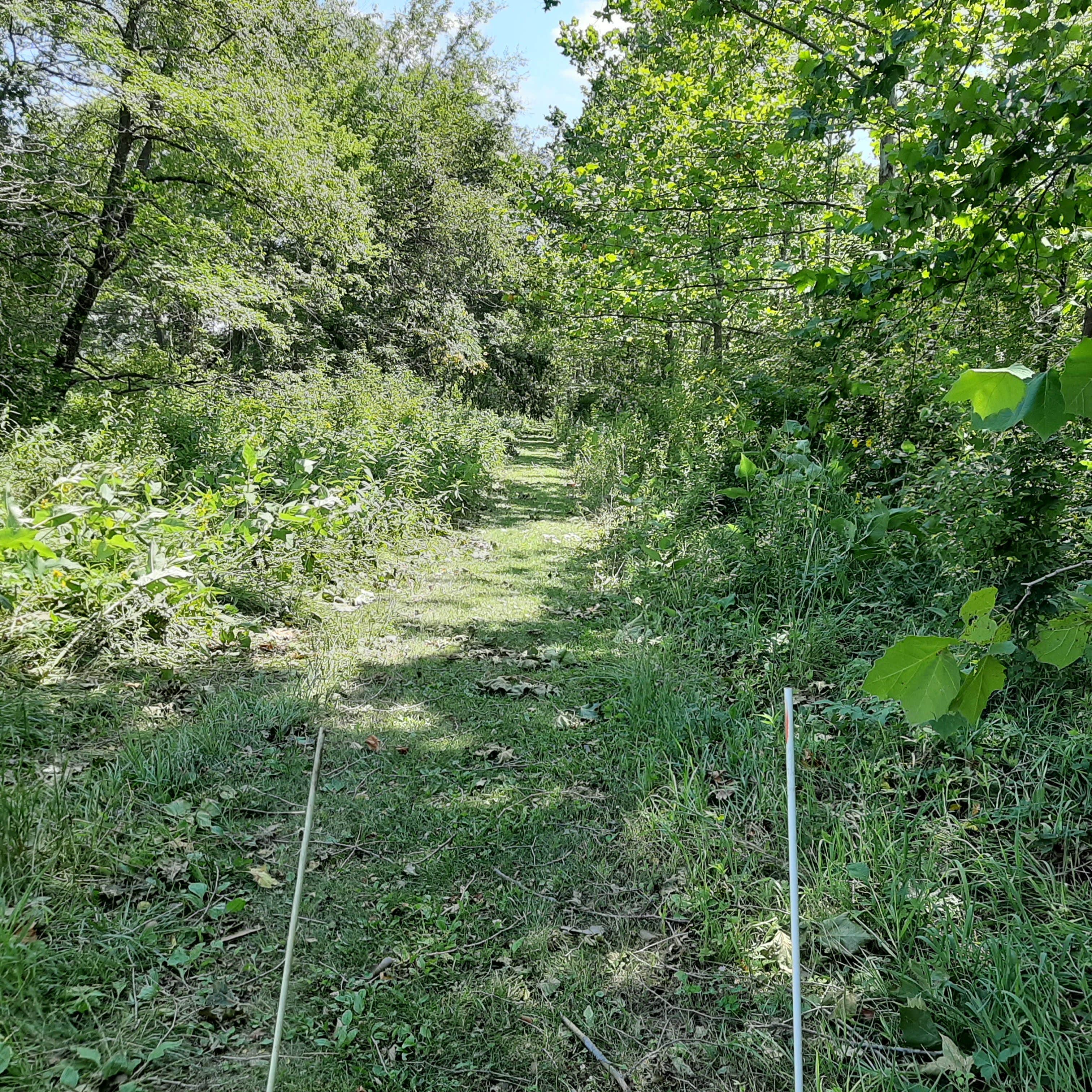 Camper-submitted photo at Draco Hill Farm and Prairie near West Liberty, IA