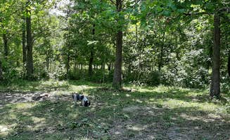 Suzan E.'s photo of camping with pets at Draco Hill Farm and Prairie near Conesville, IA