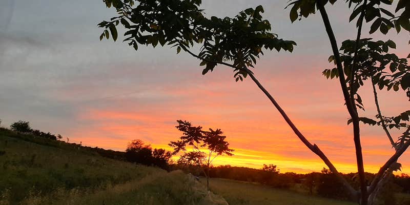 Camper submitted image from Draco Hill Farm and Prairie