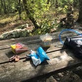 Review photo of Blue Mountain Shelter by Asher K., October 12, 2018