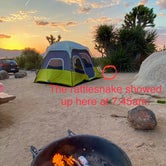 Review photo of Ryan Campground — Joshua Tree National Park by Susan Y., May 24, 2023