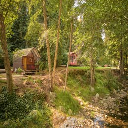 Big Sur Campground & Cabins