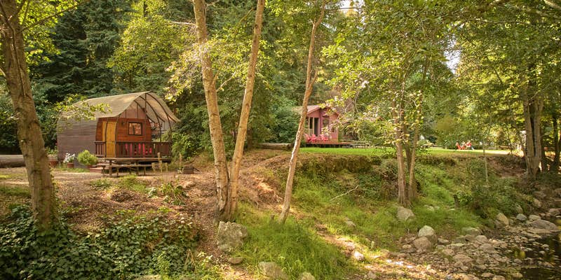 Camper submitted image from Big Sur Campground & Cabins