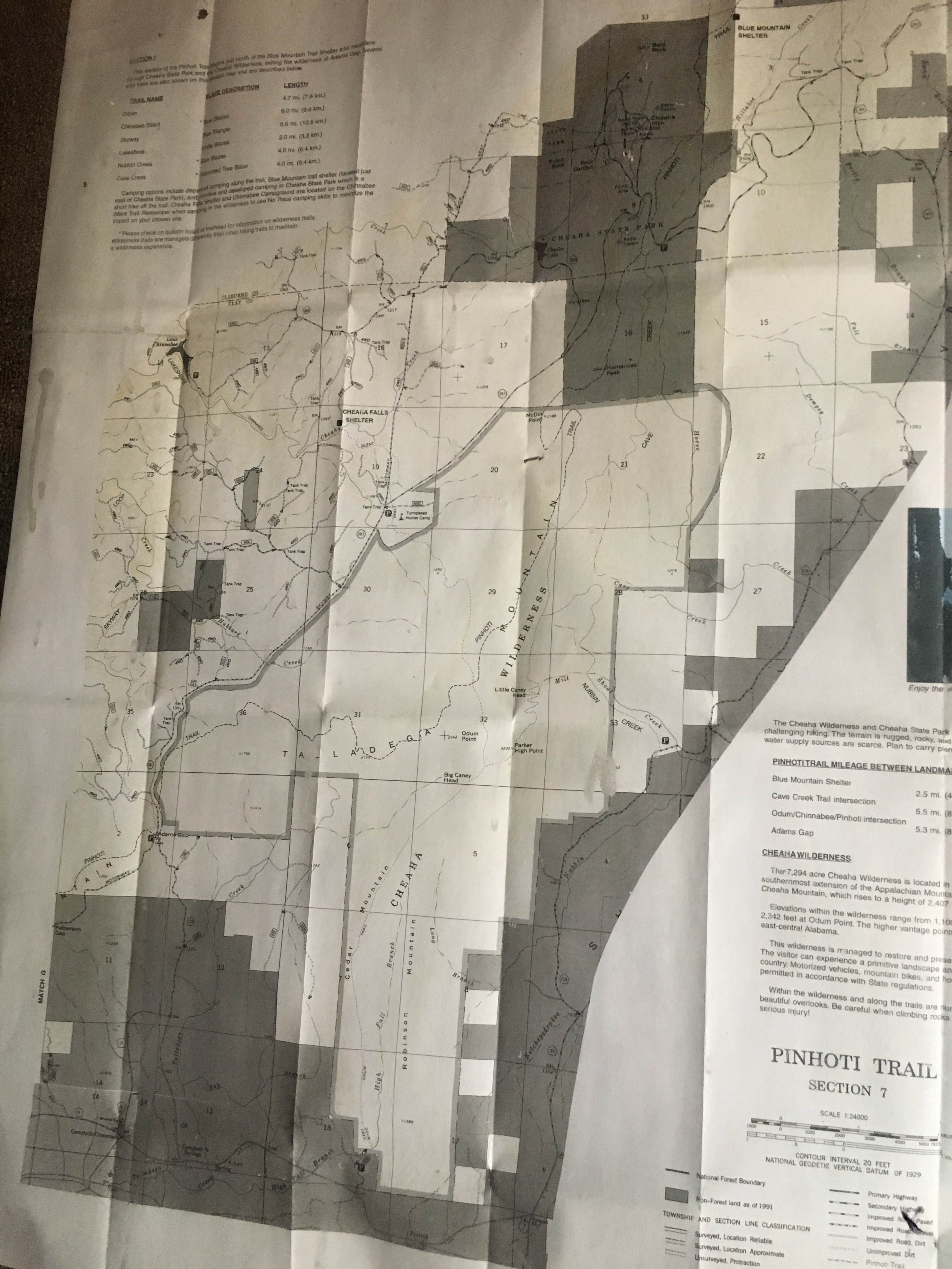 Camper-submitted photo at Blue Mountain Shelter - on the AT near Weaver, AL