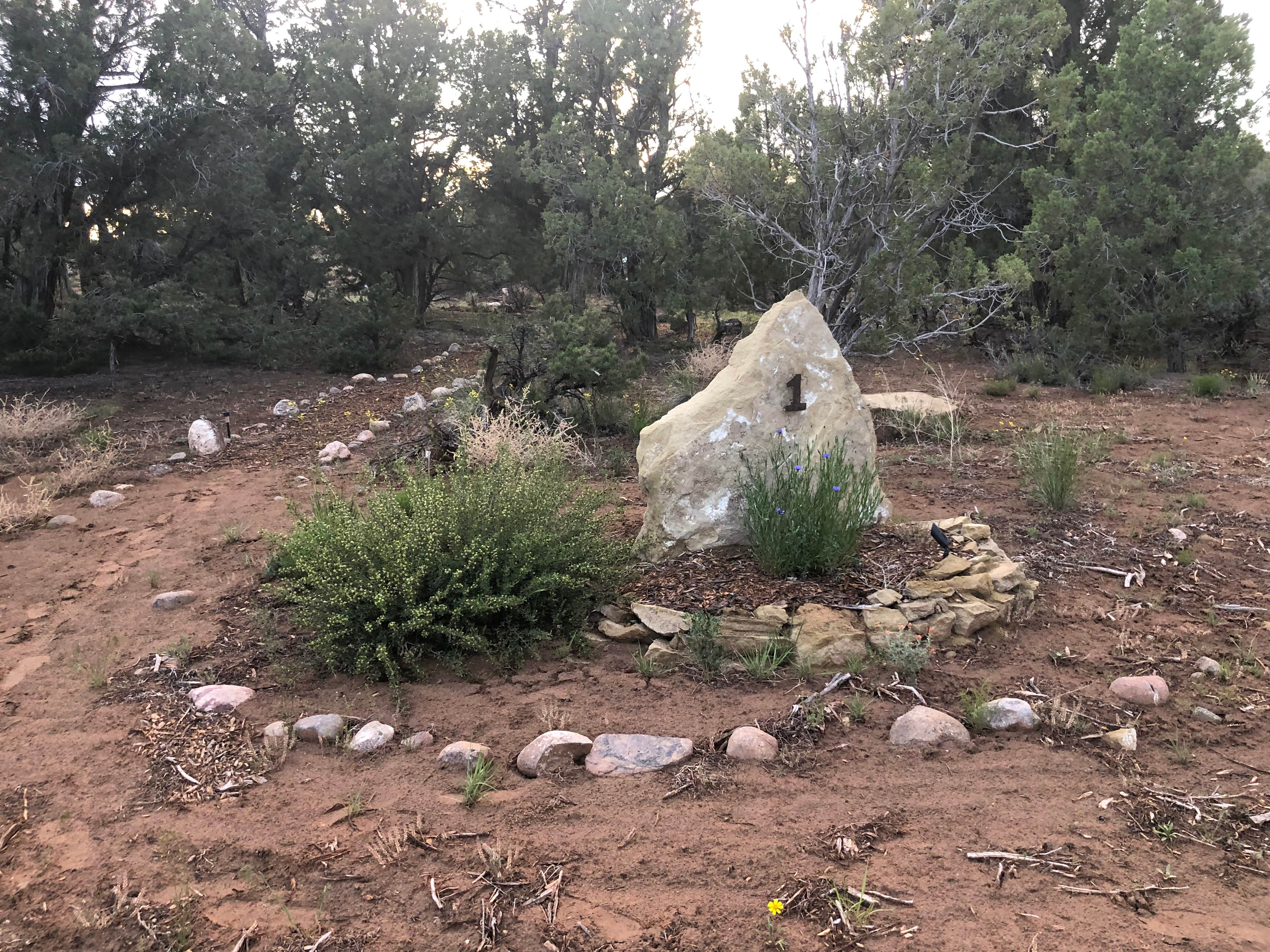 Camper-submitted photo at Navajo Lake Relax Wild-u-can (group campsite) near Kirtland, NM