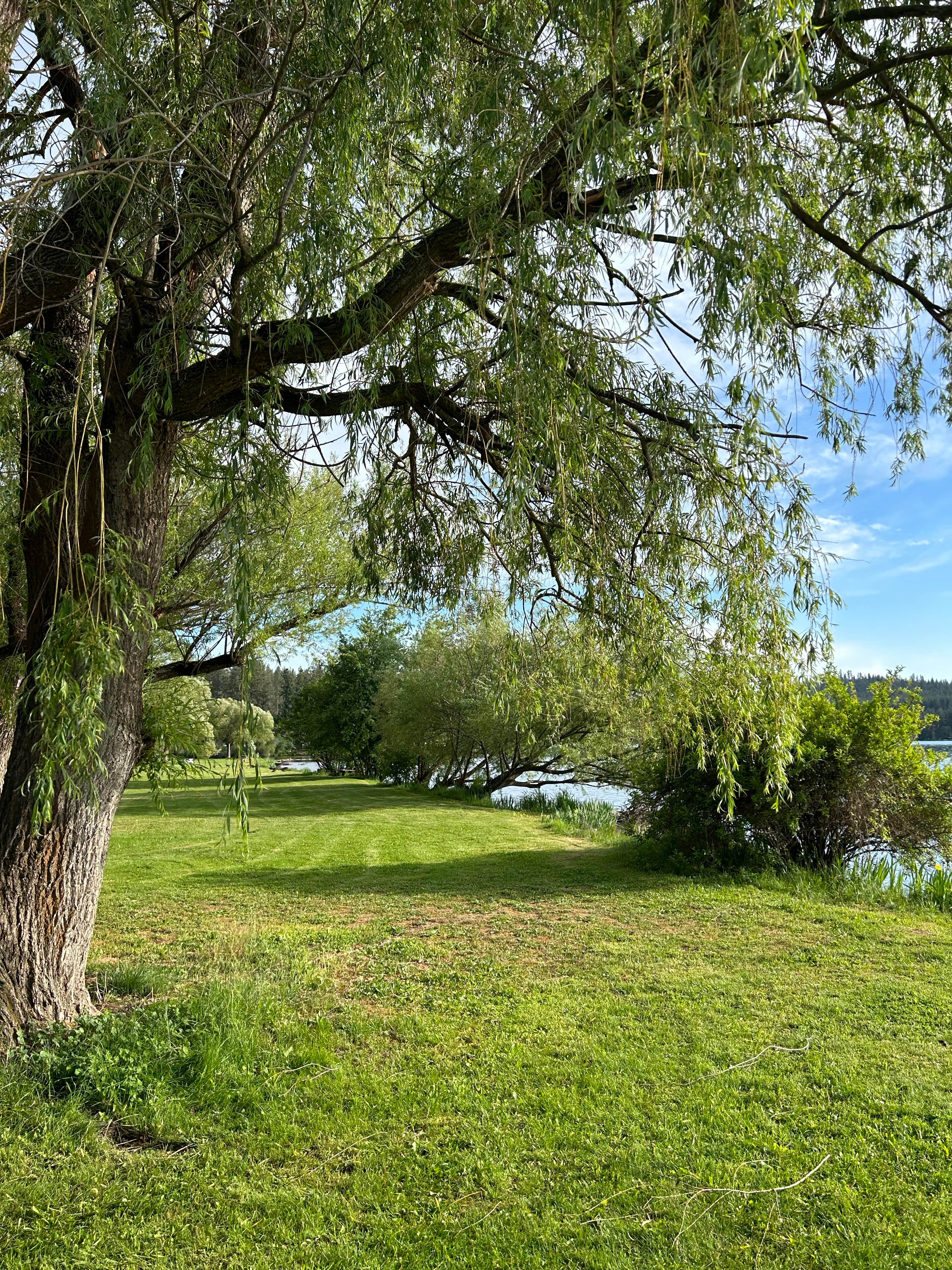Camper-submitted photo at Willow Bay RV Resort & Marina near Chewelah, WA