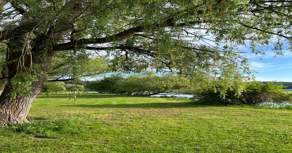 Willow Bay RV Resort & Marina
