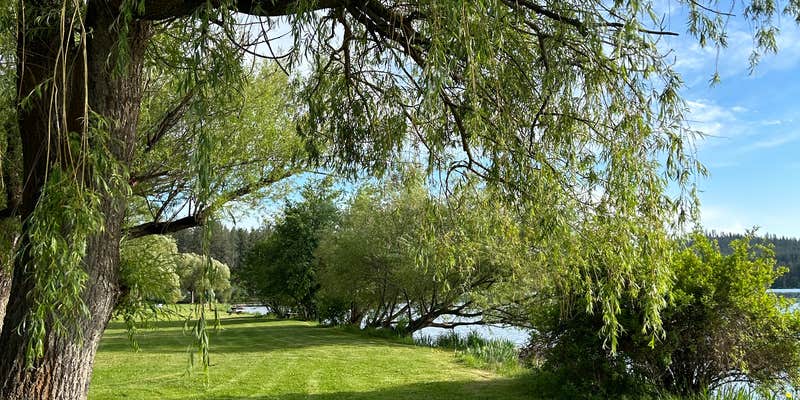 Camper submitted image from Willow Bay RV Resort & Marina