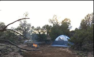 Camping near Rosa Campground — Navajo State Park: Navajo Lake Relax Wild-u-can (group campsite) , Navajo Dam, New Mexico
