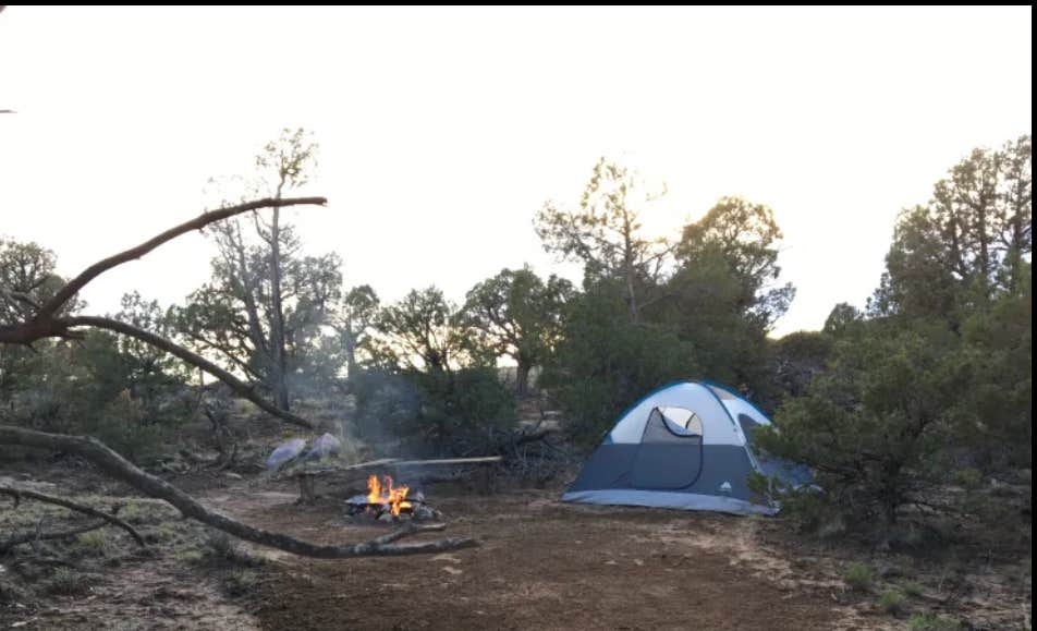 Camper submitted image from Navajo Lake Relax Wild-u-can (group campsite) - 1