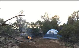 Dan C.'s photo of tent camping at Navajo Lake Relax Wild-u-can (group campsite) in New Mexico