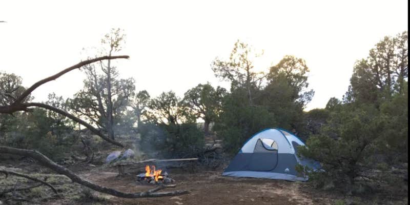 Camper submitted image from Navajo Lake Relax Wild-u-can (group campsite)