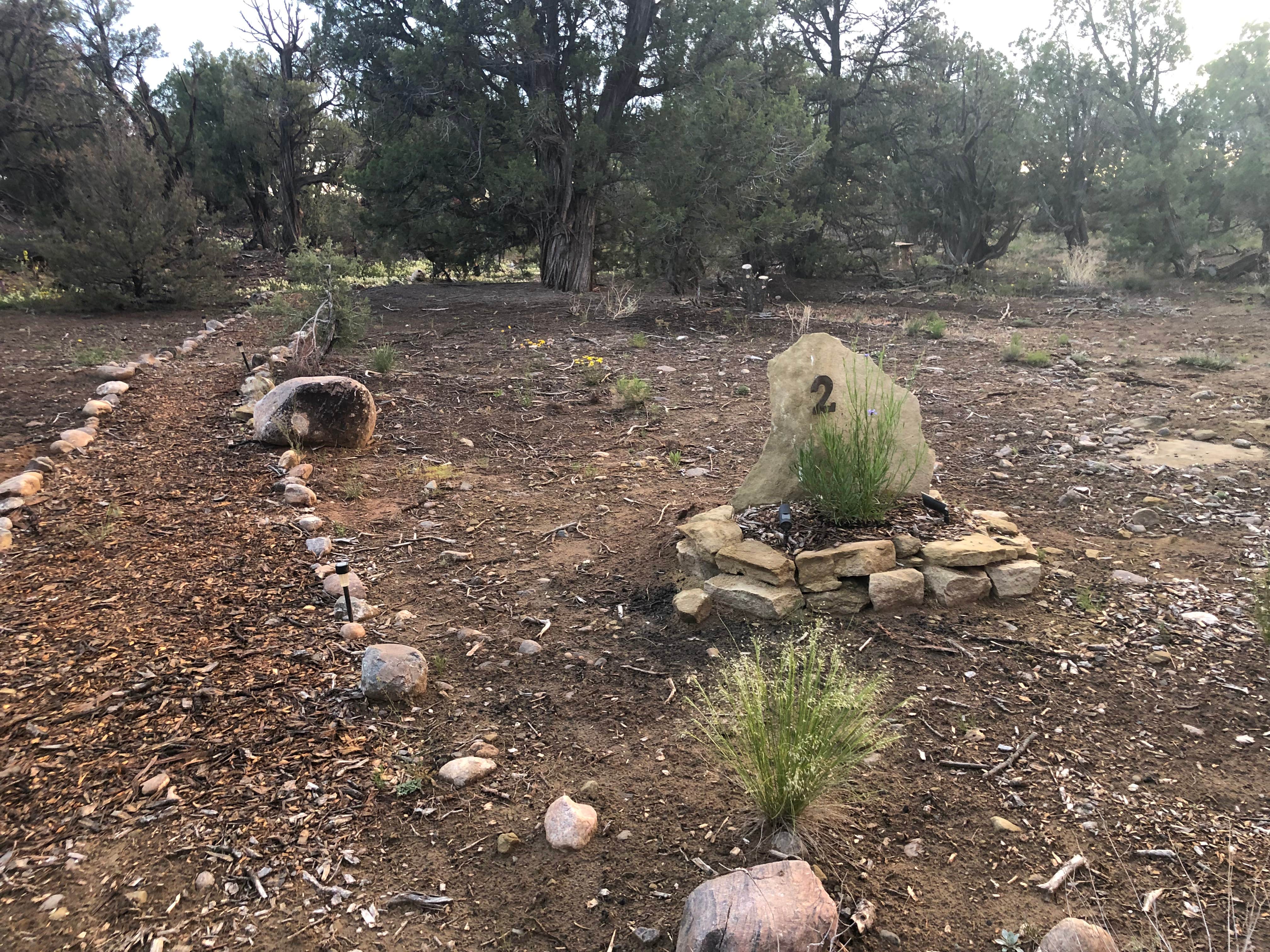 Camper-submitted photo at Navajo Lake Relax Wild-u-can (group campsite) near Kirtland, NM