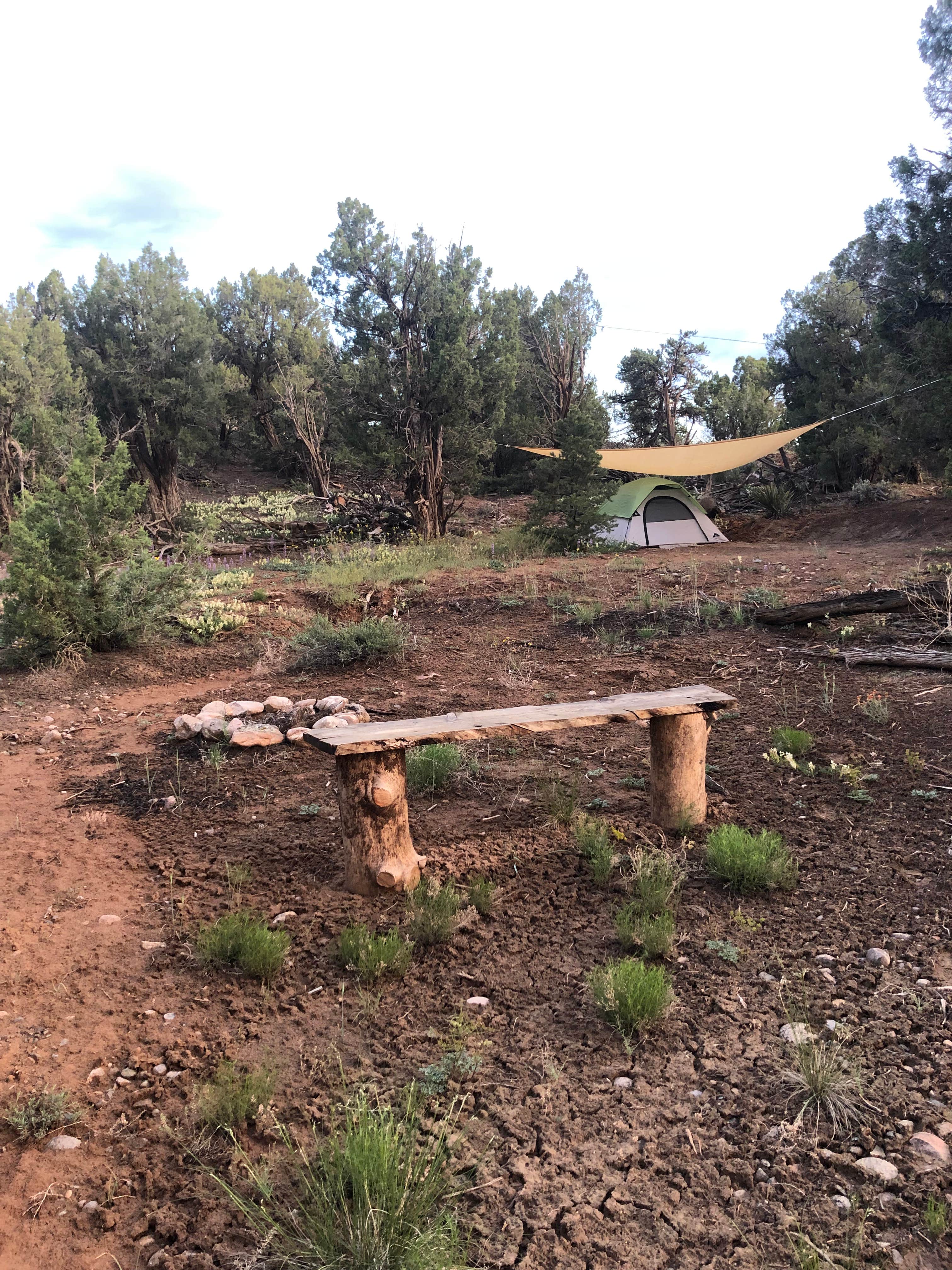 Camper-submitted photo at Navajo Lake Relax Wild-u-can (group campsite) near Kirtland, NM