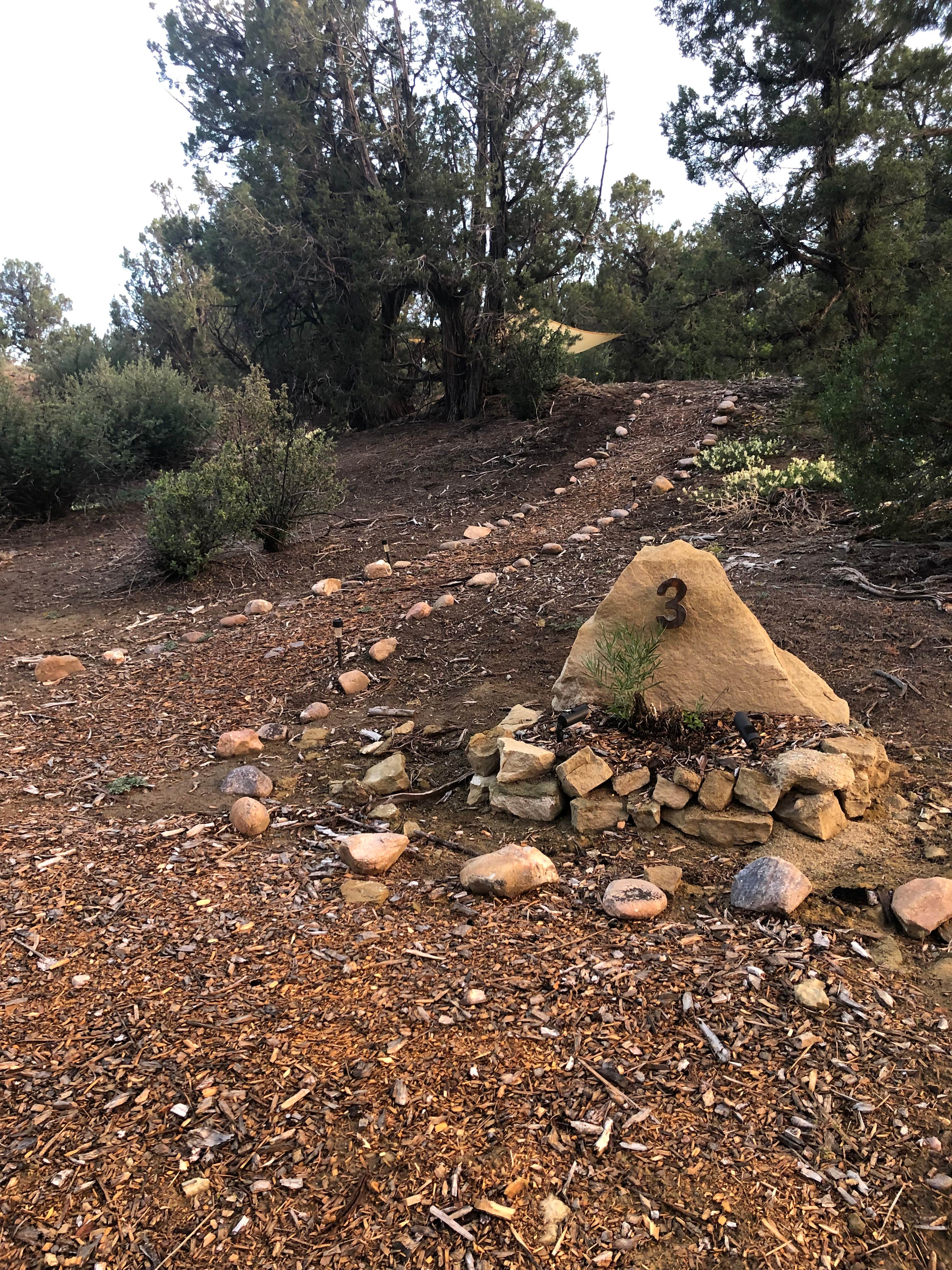 Camper-submitted photo at Navajo Lake Relax Wild-u-can (group campsite) near Bloomfield, NM