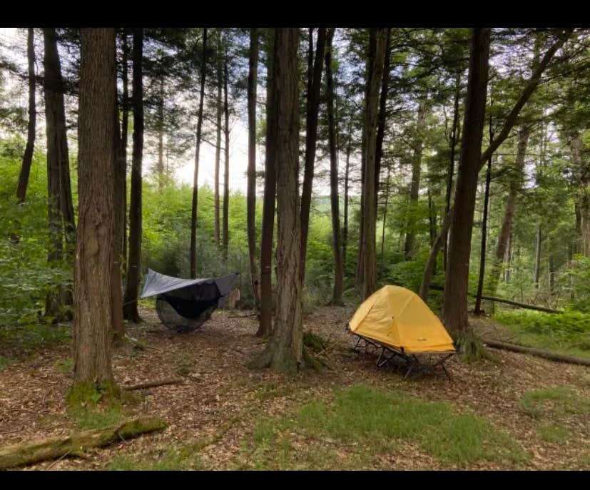 Angela S.'s photo at Sleepy Hollow Campground near Cumberland, MD